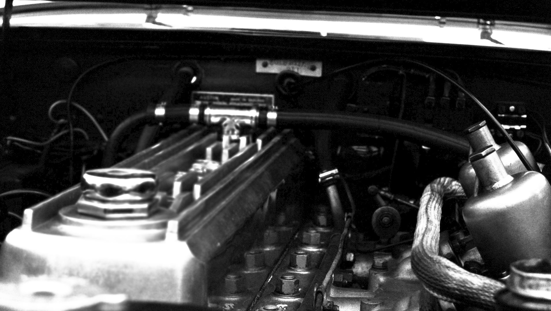 Austin-Healey 3000 engine bay, black and white film photograph